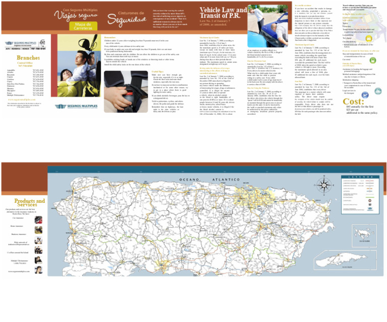 Traffic Accident Assistance Guide | PDF | Seat Belt | Driving Under The ...