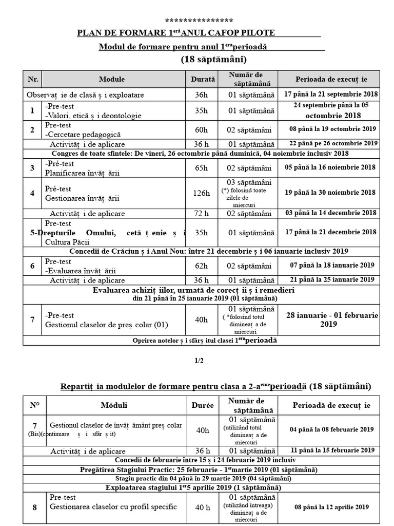 PLAN DE FORMARE Anii 1-2-3 | PDF