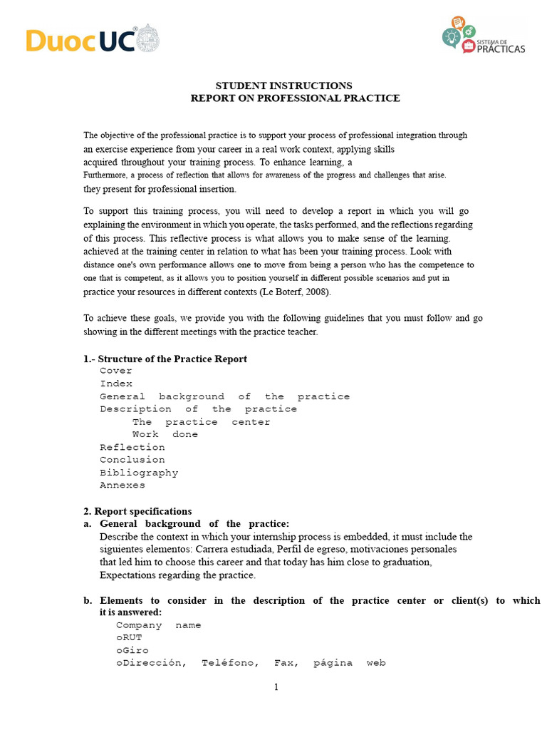 Professional Practice Report Guidelines | PDF | Experience | Paragraph