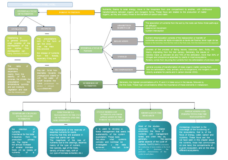 Synoptic Chart | PDF | Plant Nutrition | Soil