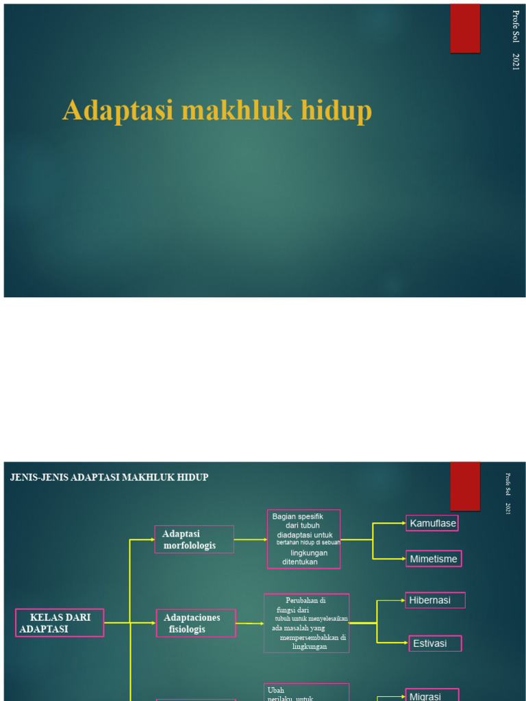 Jenis-Jenis Adaptasi Makhluk Hidup | PDF