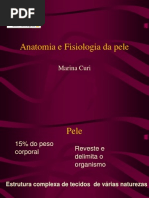 Anatomia e Fisiologia Da Pele