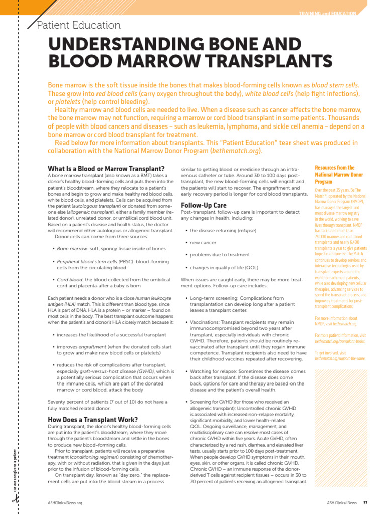 Bone Marrow Transplant Patient Guide | PDF | Hematopoietic Stem Cell ...