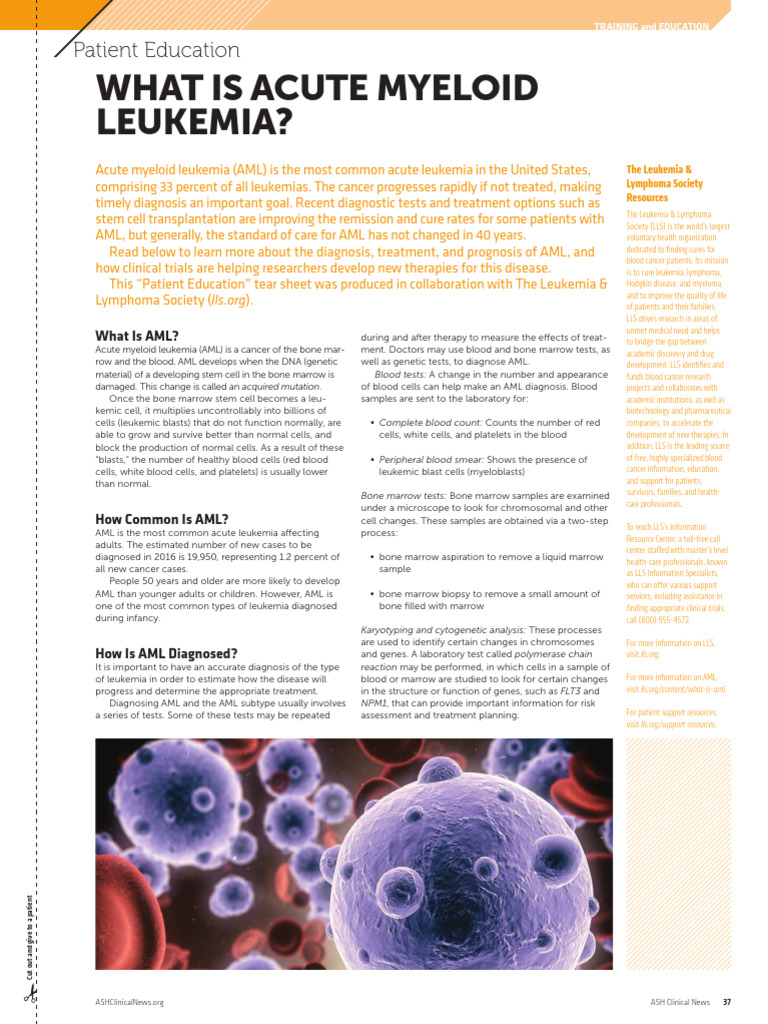 What Is Acute Myeloid Leukemia - Patient - Ed | PDF | Leukemia ...