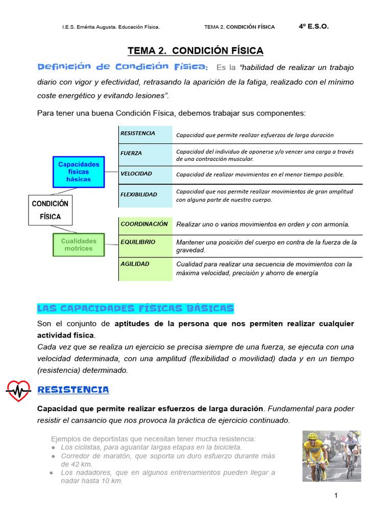 Condición Física: Componentes y Entrenamiento | PDF | Flexibilidad ...
