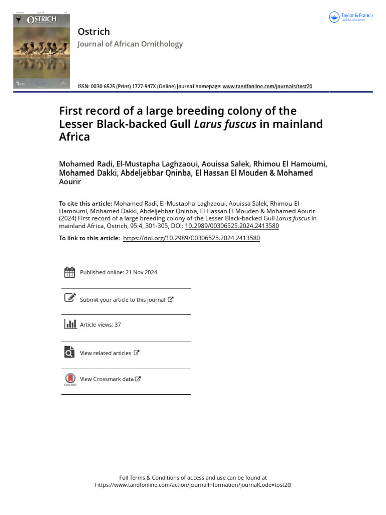 First Record of A Large Breeding Colony of The Lesser Black-Backed Gull ...