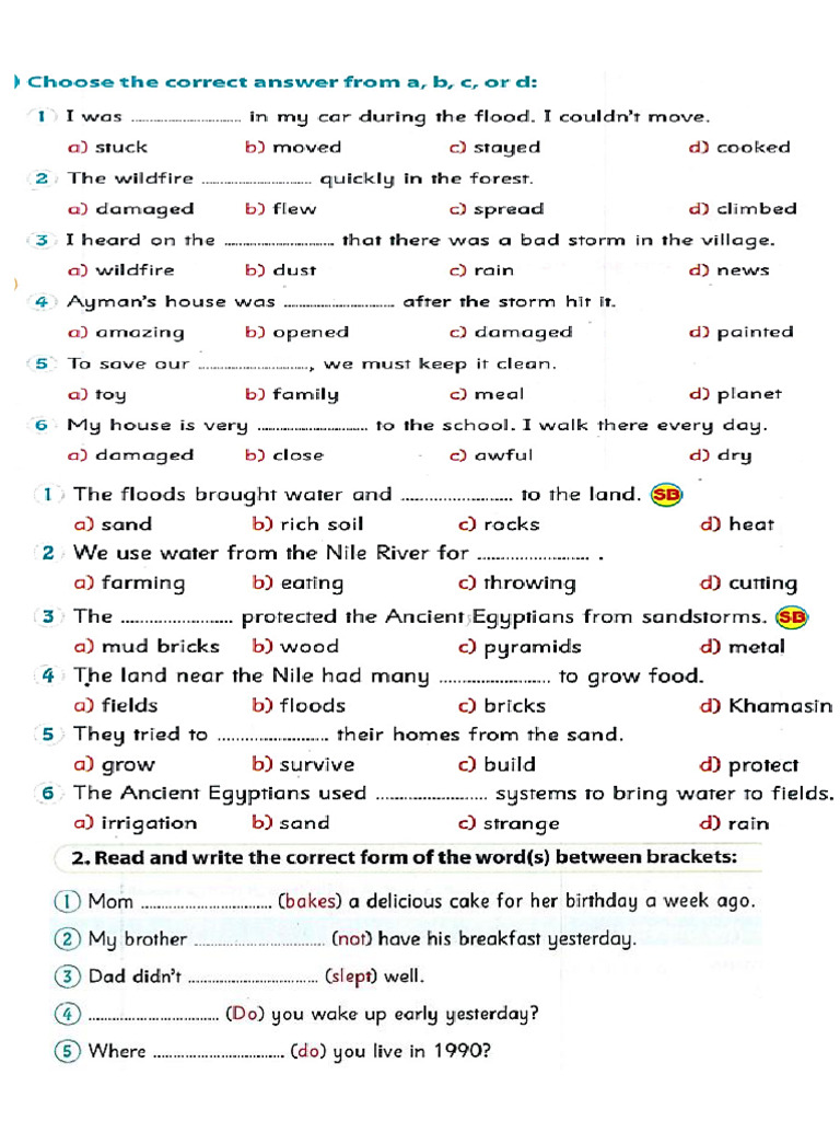 Grade 5 Unit 3 Ex | PDF