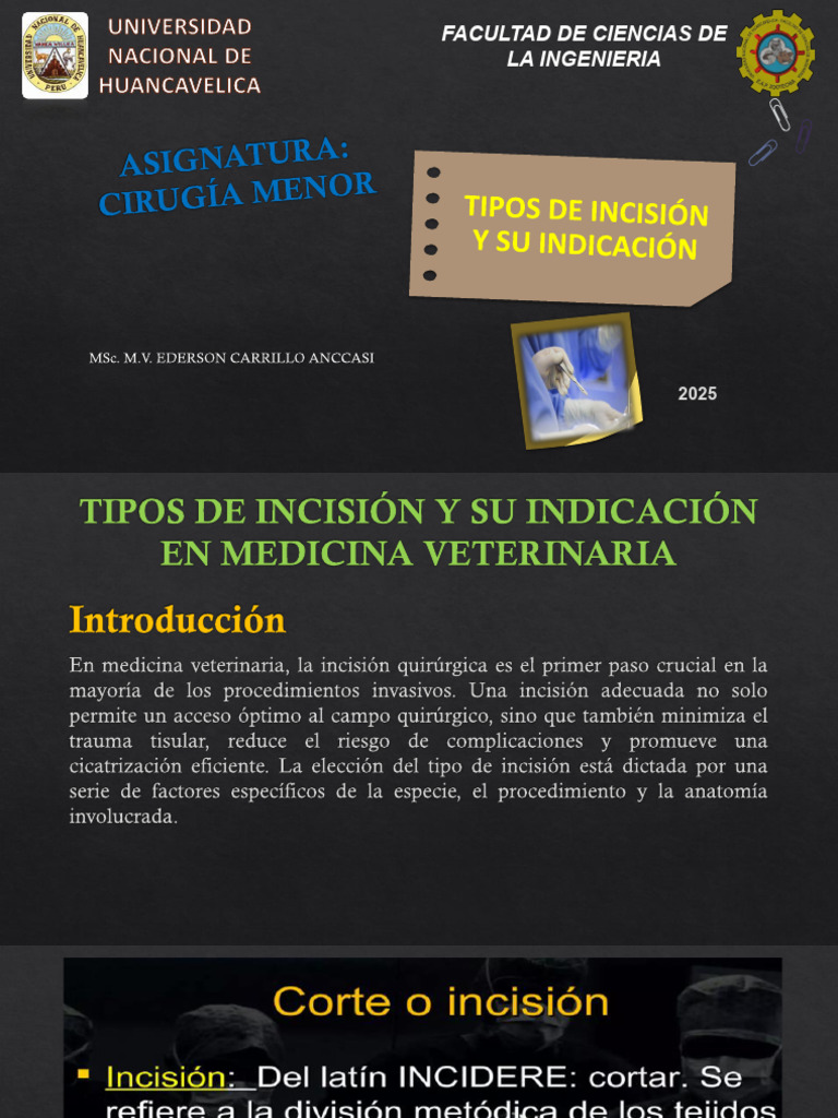 Tipos de Incisión en Cirugía Veterinaria | PDF | Biopsia | Cirugía