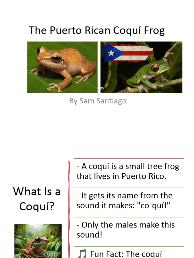 Coqui Frog Presentation SamSantiago | PDF