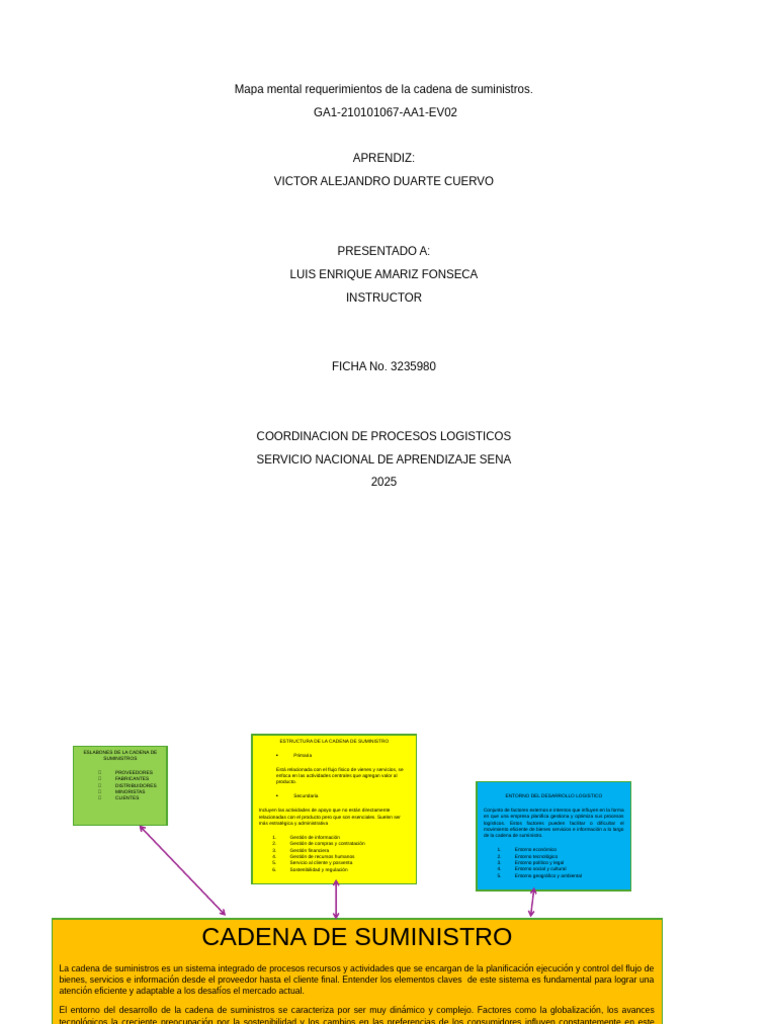 Requerimientos de la Cadena de Suministro | PDF | Logística | Economias