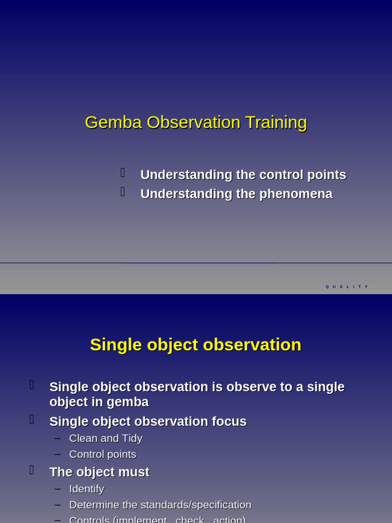 Gemba Observation Training Guide | PDF | Specification (Technical ...