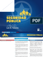 Plataforma Seguridad