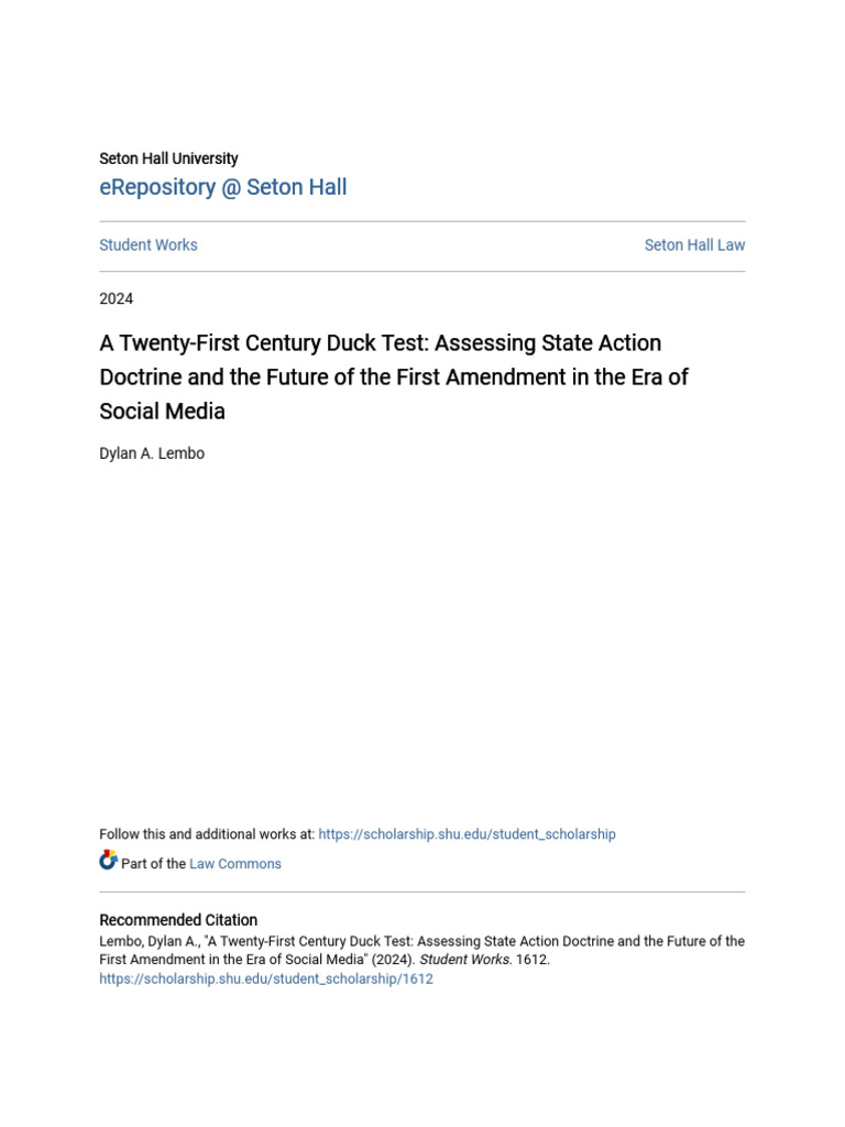 A Twenty-First Century Duck Test - Assessing State Action Doctrine ...