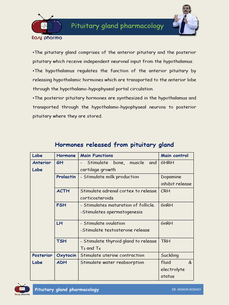 Pituitary Gland Hormones and Pharmacology | PDF | Hypothalamus | Growth ...