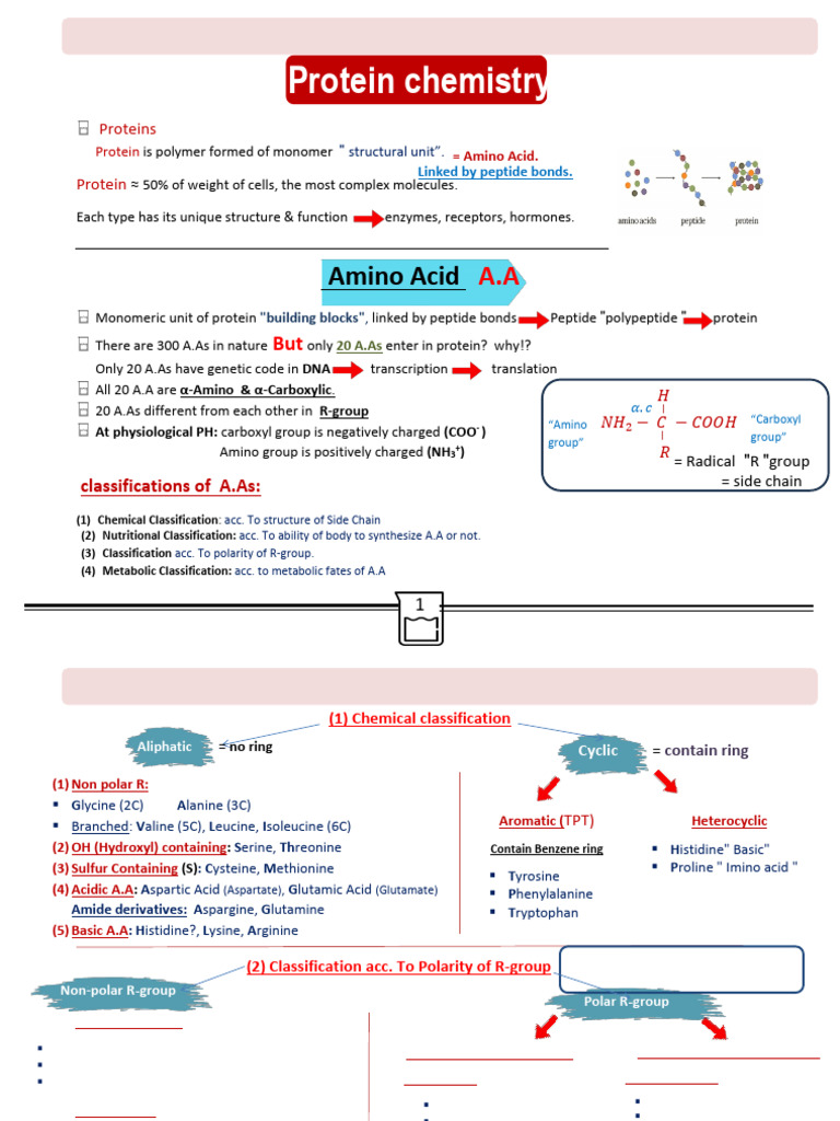 Protein Chemistry and Amino Acid Classification | PDF | Amino Acid ...