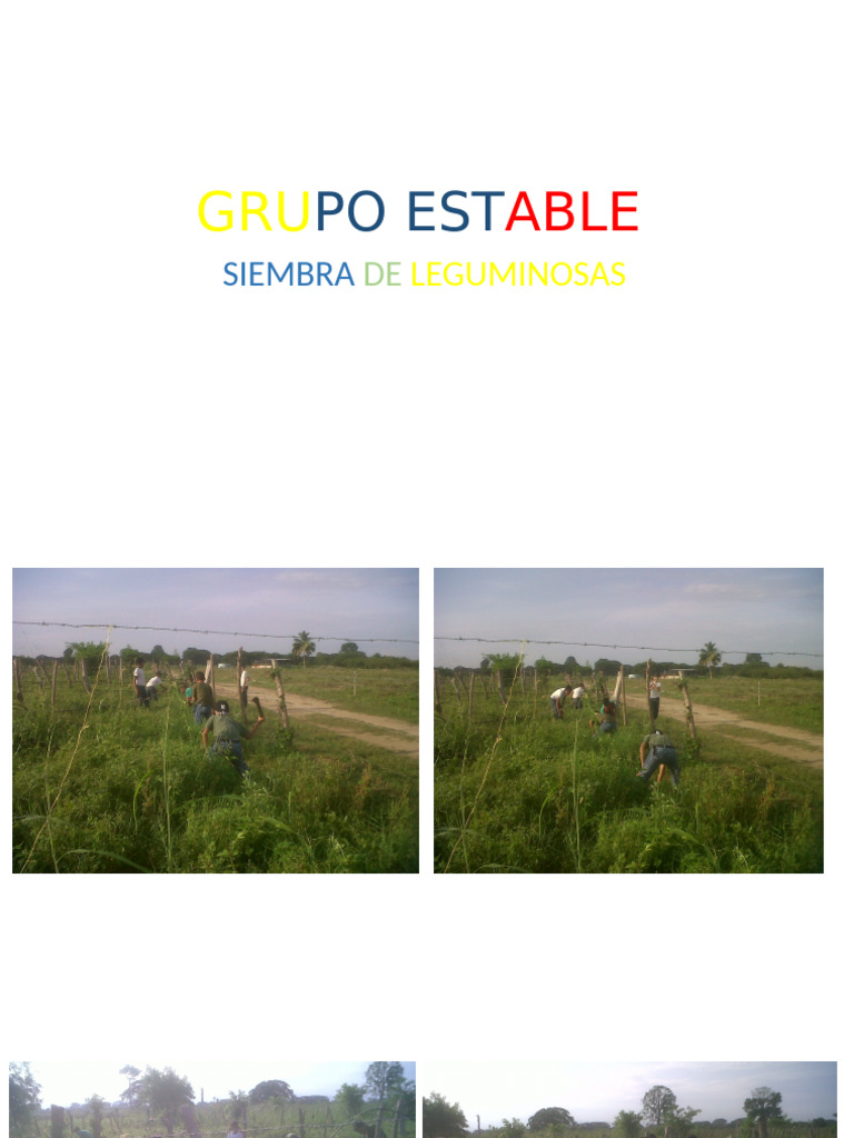 Grupo Estable | PDF
