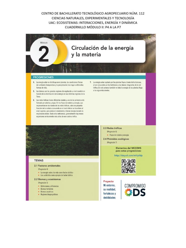 Cuadernillo Eied m2 p4-p7 | PDF | Science | Ciencias Naturales