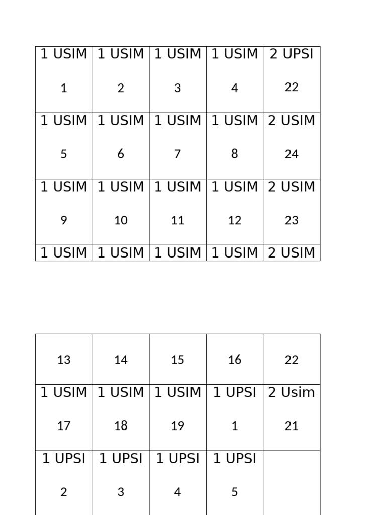 1 USIM | PDF