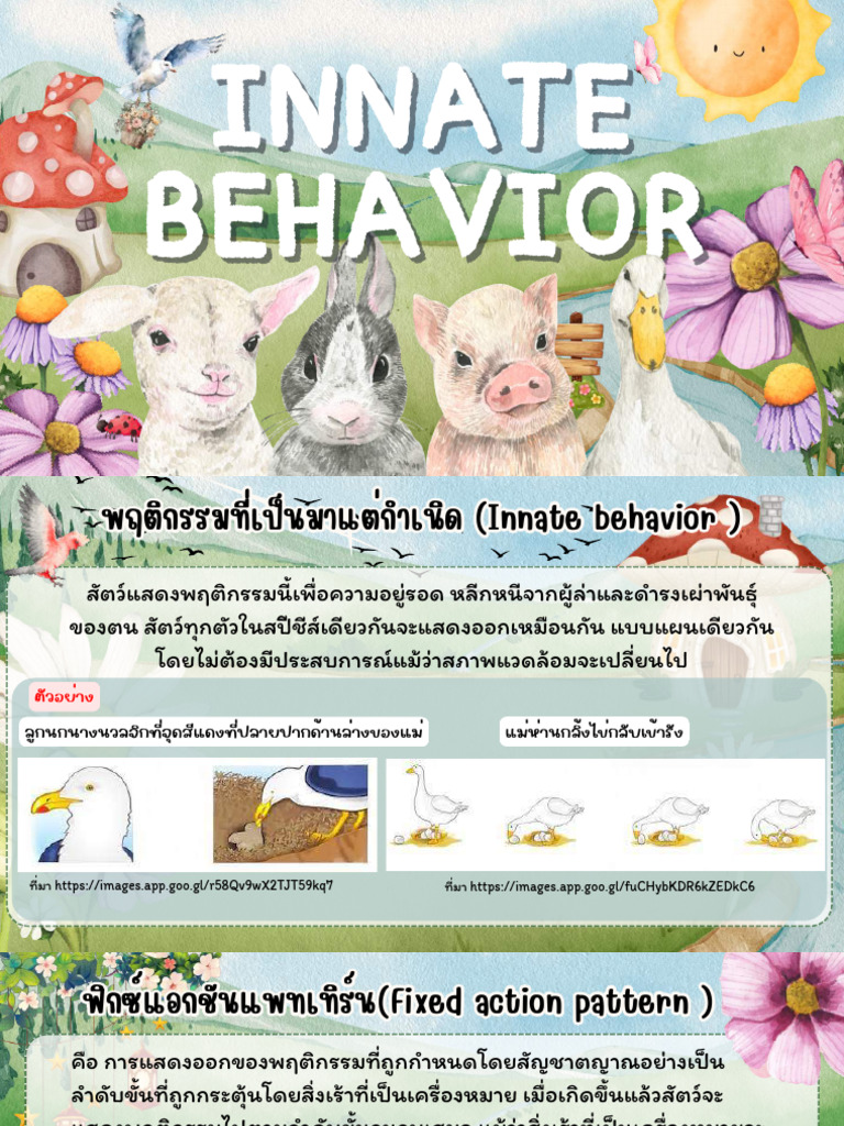 Innate Behavior | PDF