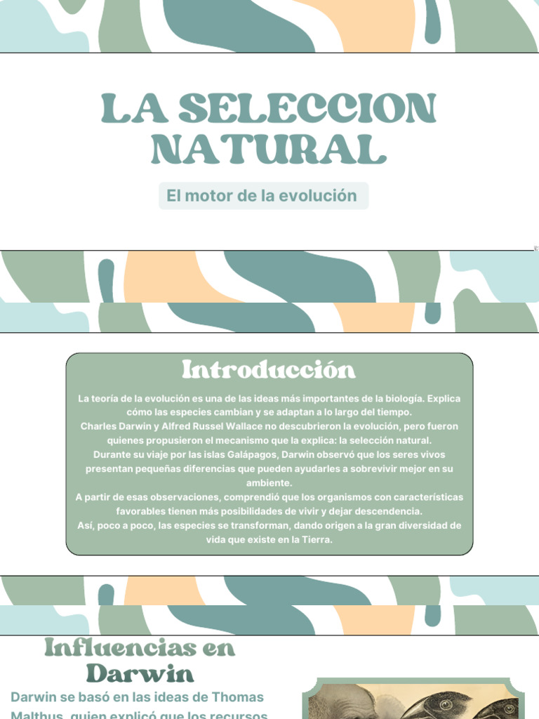 La Seleccion Natural | PDF | Seleccion natural | Charles Darwin