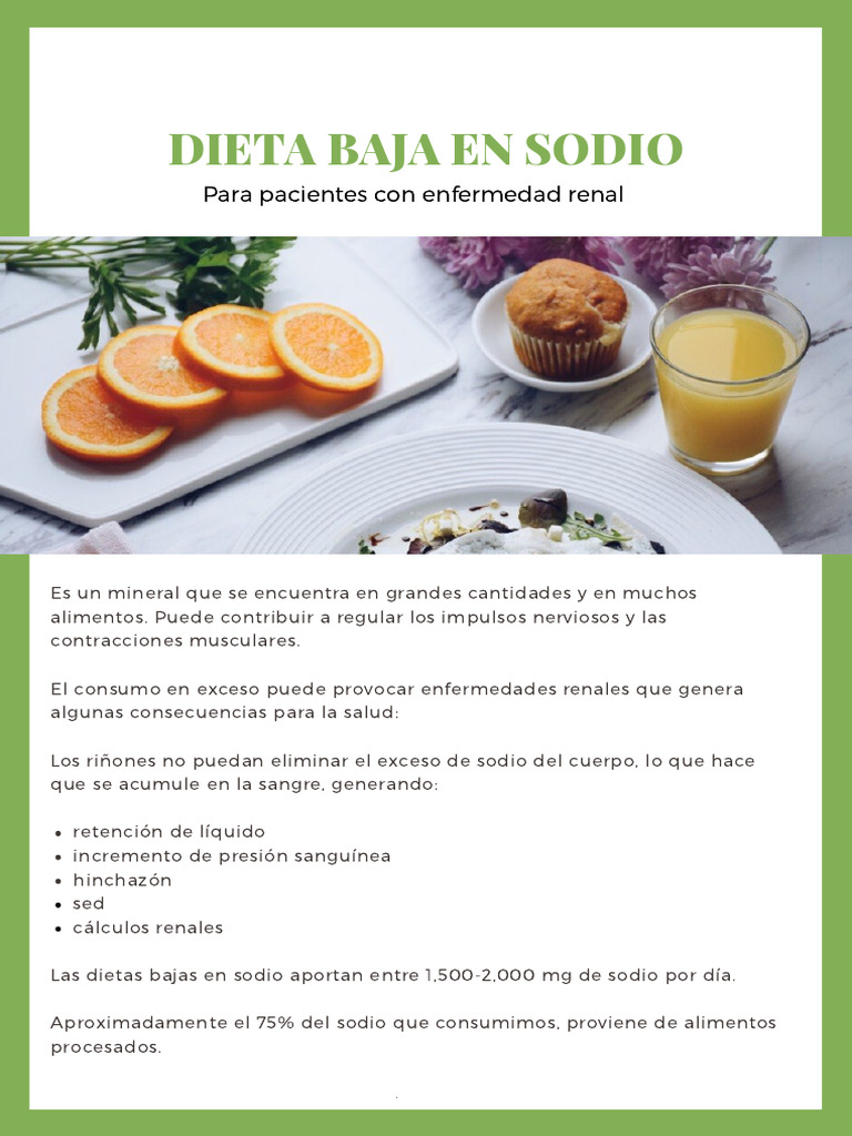 Dieta Baja en Sodio para Enfermedades Renales | PDF | Alimentos | sal