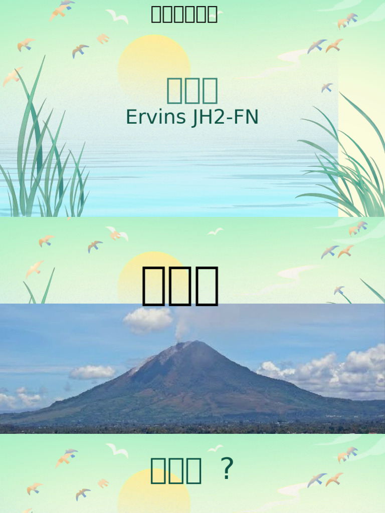 Ervins | PDF
