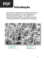 Introdução