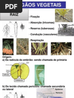 Sabiia##  PDF  Bioinformática  Quinase