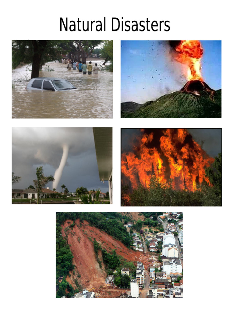 Disasters | PDF