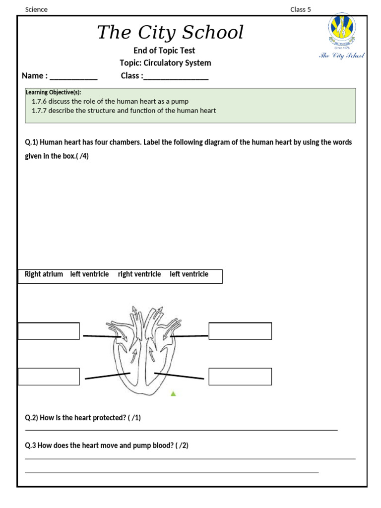 Grade 5 Test | PDF