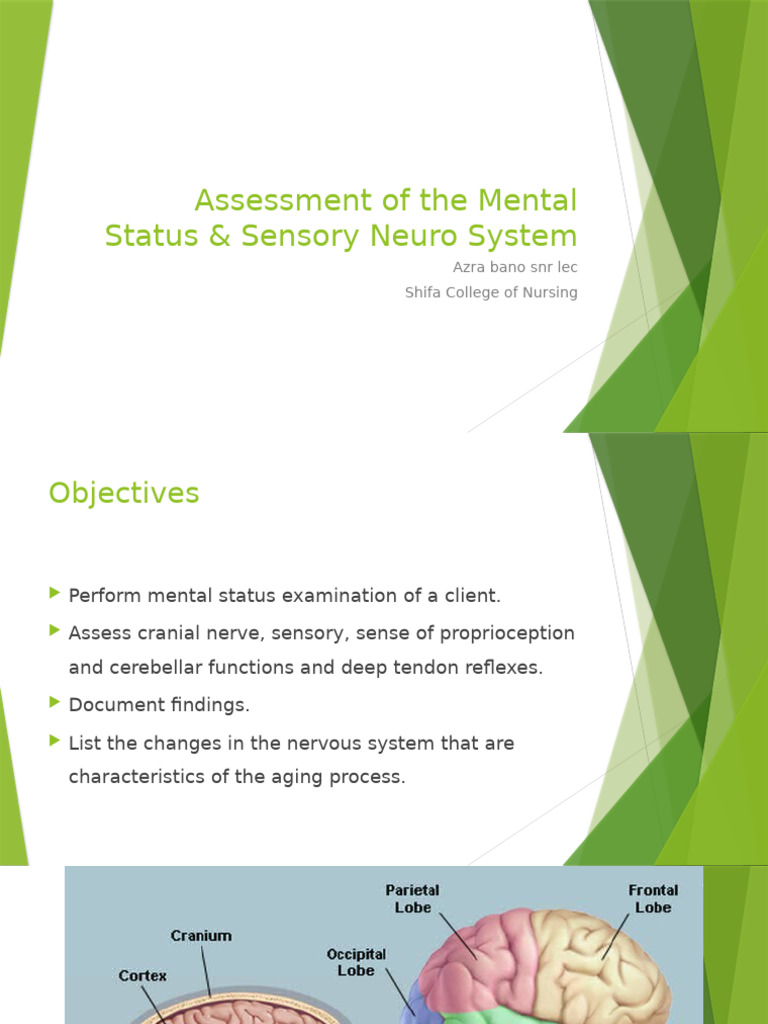 Mental Status & Sensory System Assessment | PDF | Hand | Somatosensory ...