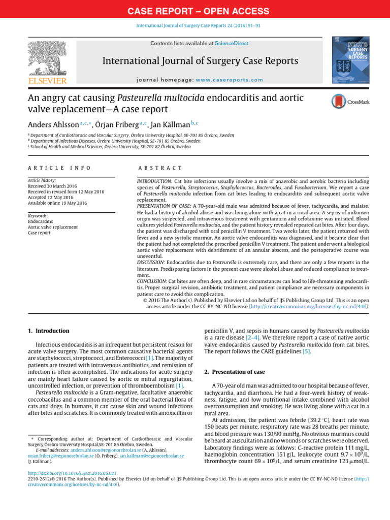 Visual Reference: Cat Bite Leads To Endocarditis Case Report Pdf