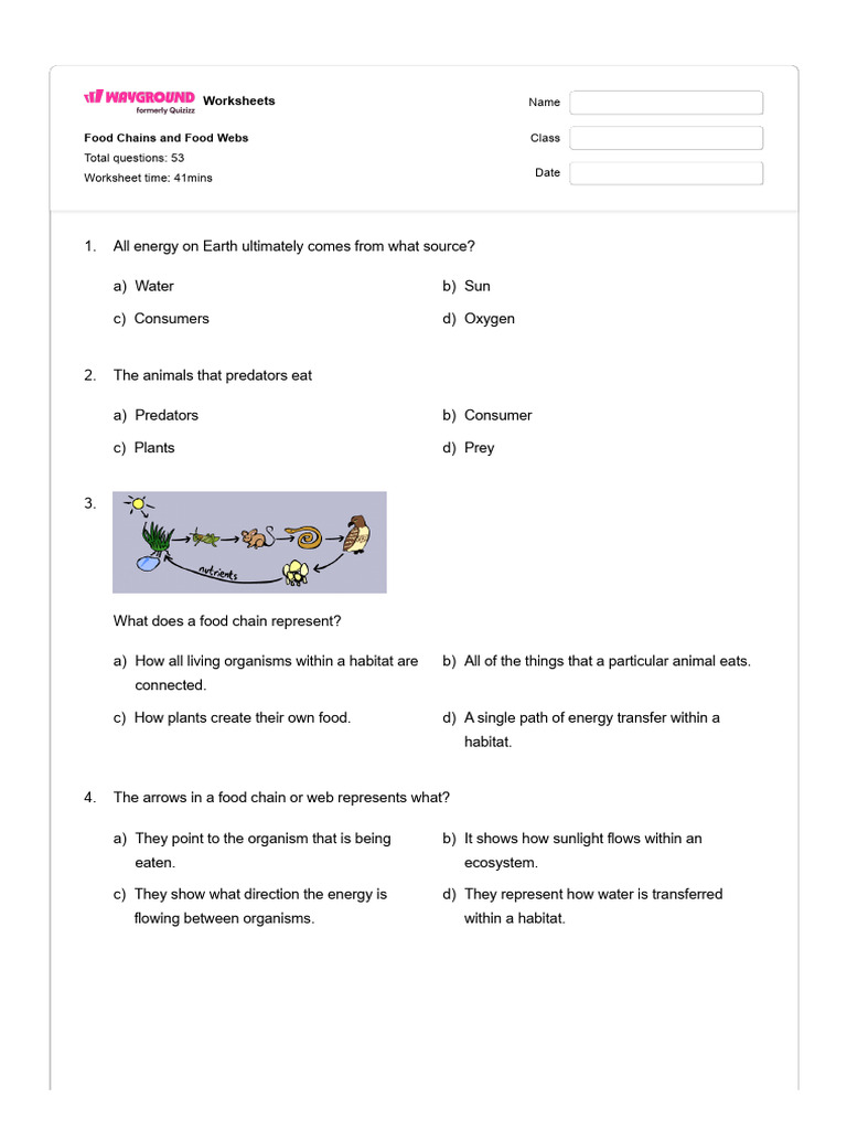 Food Chains and Food Webs - With Ans Key | PDF | Herbivore | Food Web
