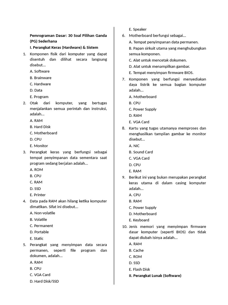 30 Soal PG Pemrograman Dasar Komputer | PDF