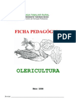 Ficha Pedag de Olericultura