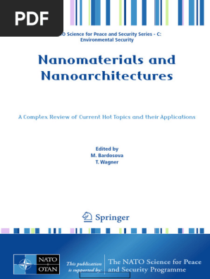 Nanomaterials in Environmental Security | PDF | Nanotechnology