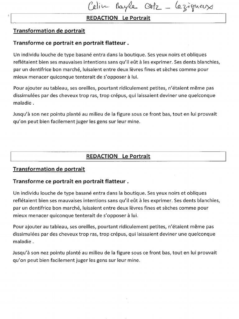 Redaction Le Portrait | PDF