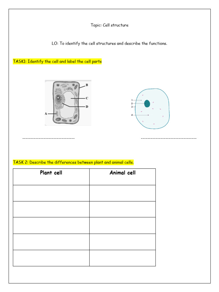 Cell Structure and Functions Explained | PDF