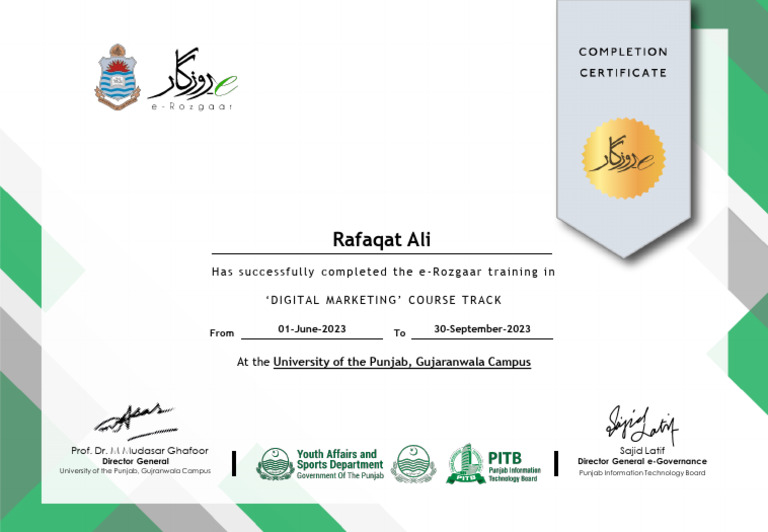 Rafaqat Ali: Has Successfully Completed The E-Rozgaar Training in | PDF