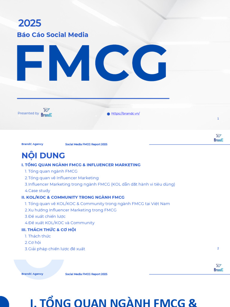 (V) BrandC - FMCG Report 2025 | PDF