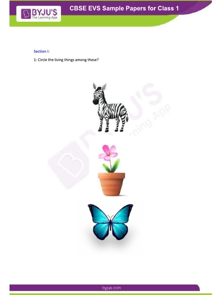 Cbse Sample Paper For Class 1 Evs Pdf