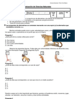 Evaluacion Cs - Naturales Cuarto Básico