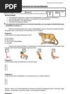Carta de Intención