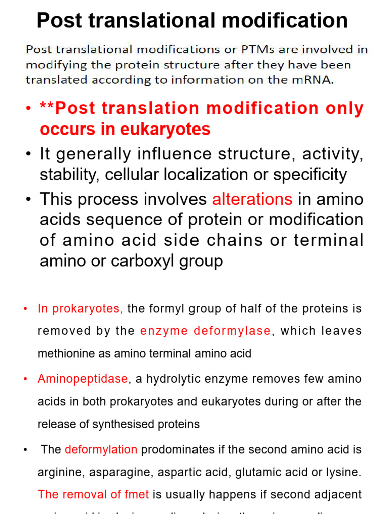 Post-Translational Modifications Explained | PDF