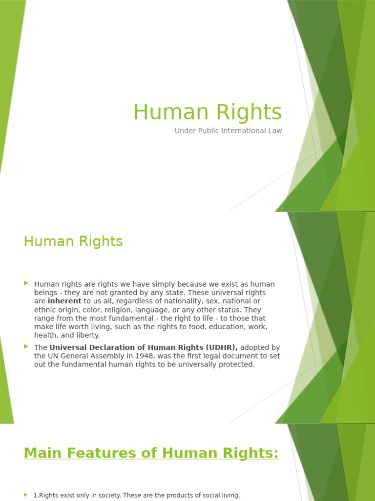 Overview of Human Rights Law | PDF | Human Rights | United States Bill ...