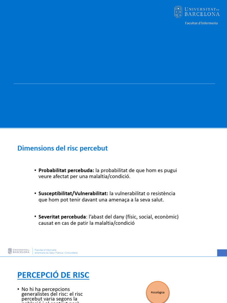 Percepció de Risc | PDF