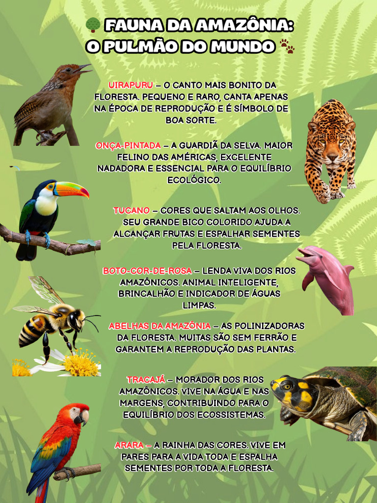 Fauna Amazônica: Espécies e Importância | PDF