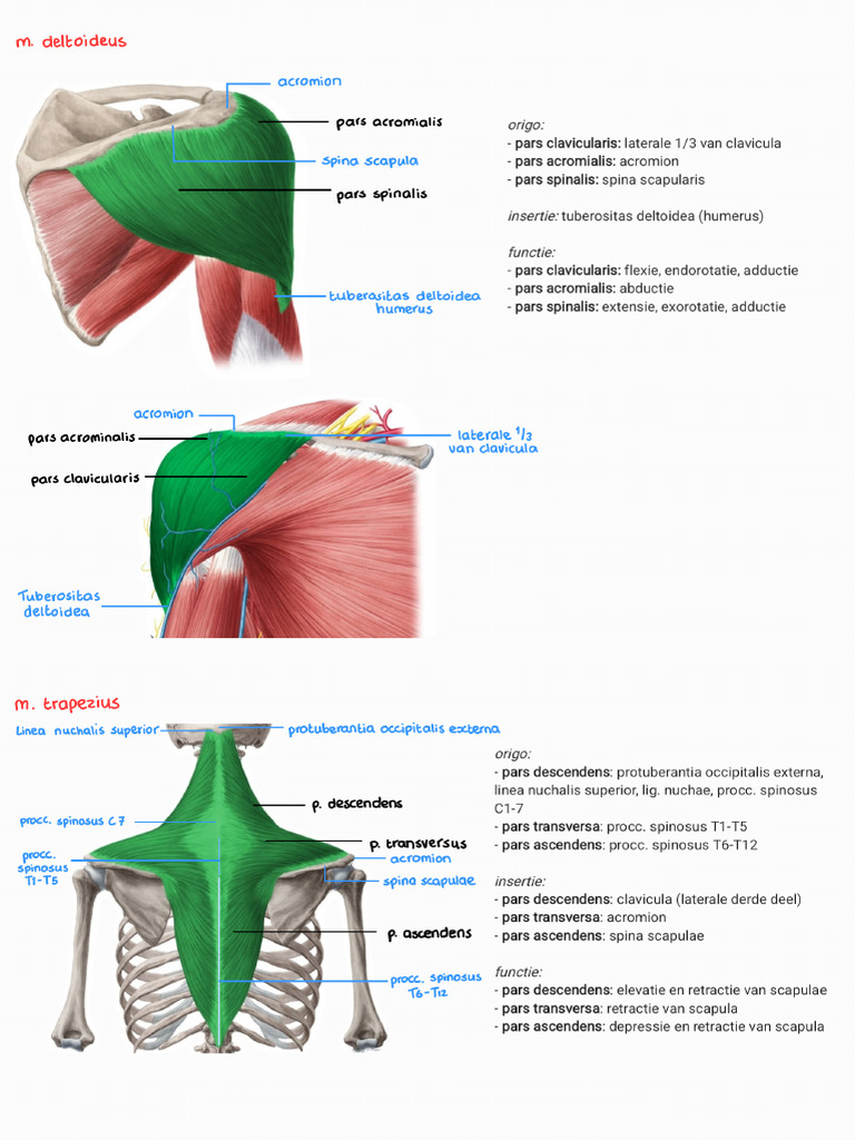 Origo, Insertie, Functie Blok 2 - 250105 - 142750 | PDF