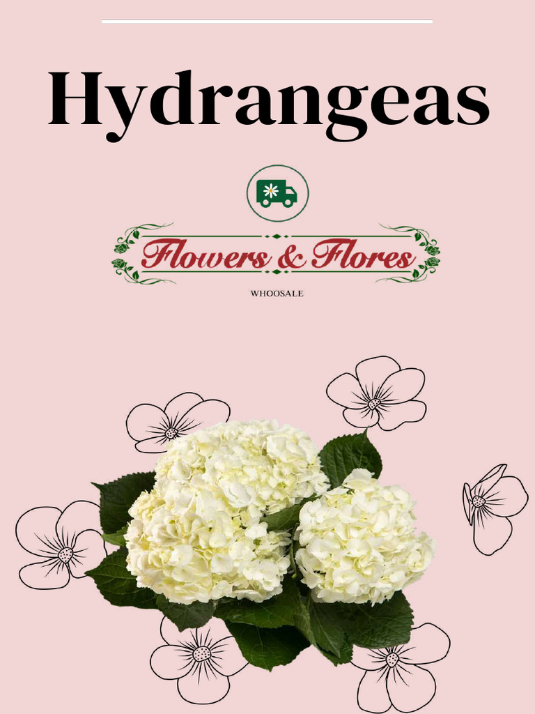 Varieties of Hydrangeas for Sale | PDF | Rainbow | Color