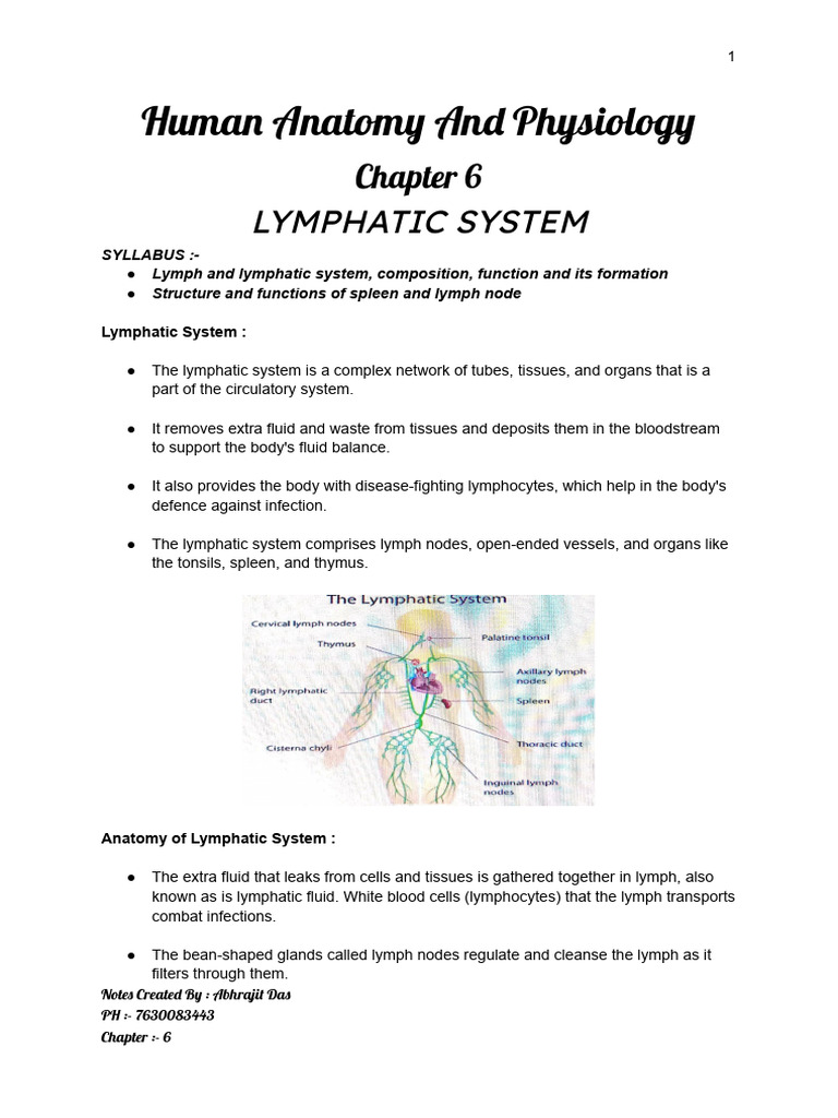 Human Anatomy and Physiology CH 6 Printed Notes | PDF | Lymphatic ...